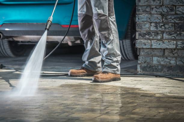 Best Roof Washing  in Hutchins, TX